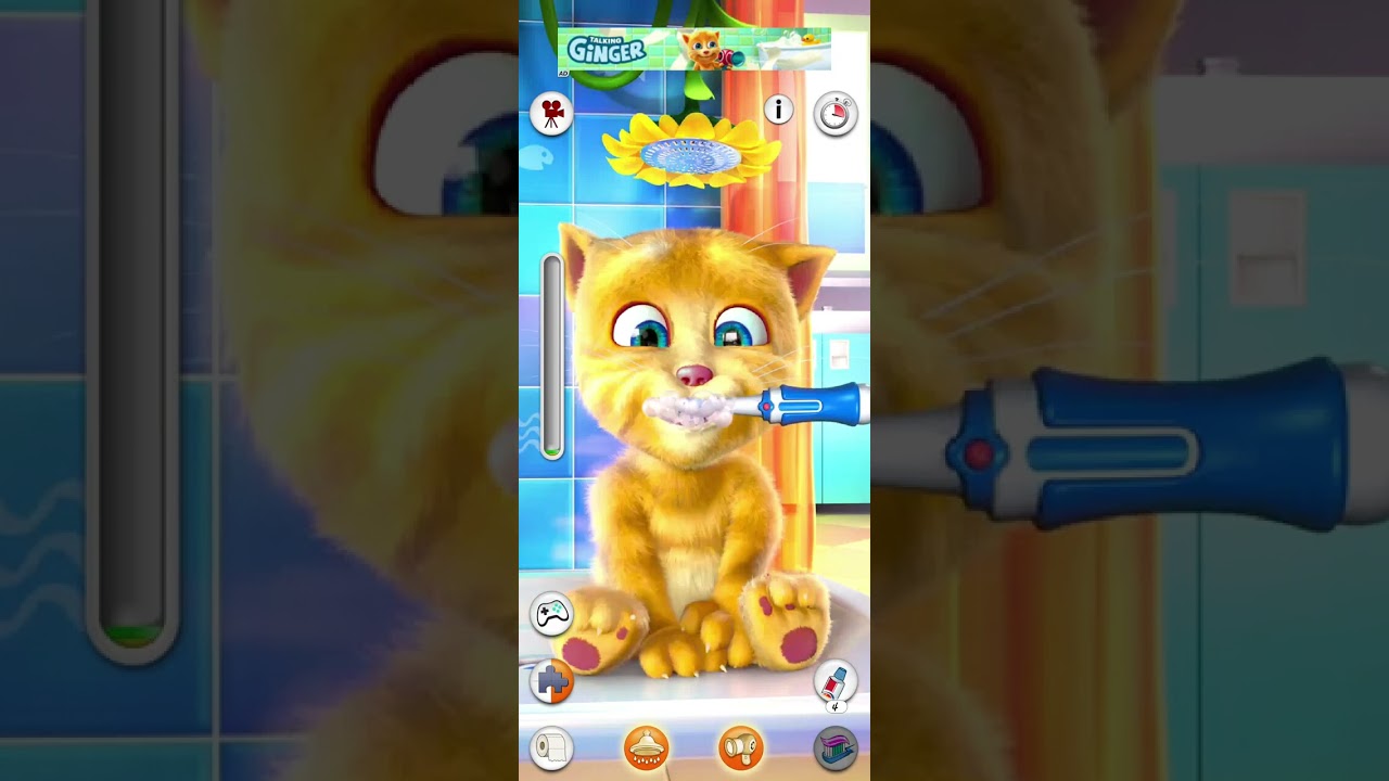 Talking Tom Cat Funny Gameplay