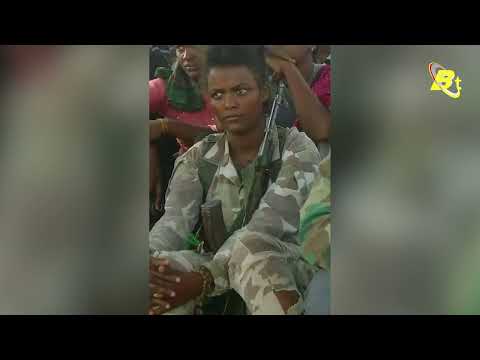ሌላ ምስ ስውእቲ ተጋዳሊት ማዕበል