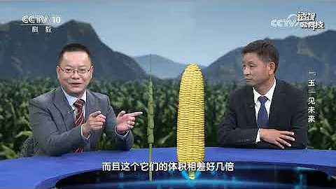 《透視新科技》 20230502 “玉”見未來|CCTV科教 - 天天要聞
