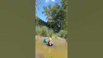 Gỡ Lưới Dính CÁ Rô Phi |Tilapia Sticky Net Remover #Shorts