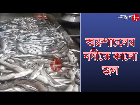 ভিডিও: জল কাবোম্বা