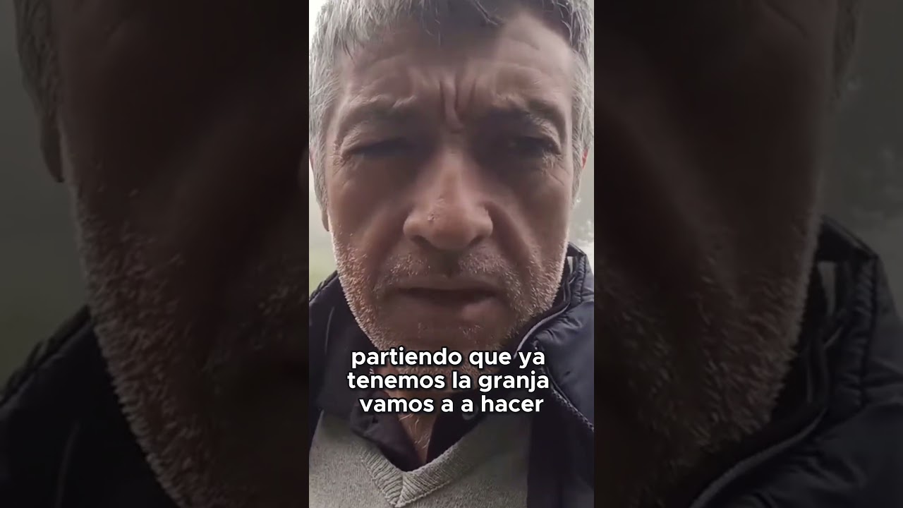 ¿Cuánto cuesta cuidar animales en una granja? 