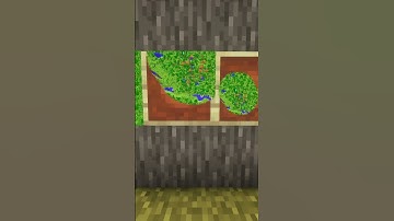 Всё что нужно знать о картах в minecraft.