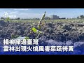 風颱影響台灣