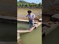 KAMU10 Youtube Shorts Viral videos ☝🏻 #carpet #beautifulsongs #partyplaylist #musicplaylist #funny