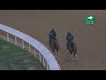 Rebel Red (GB) (inside) works at Keeneland - October 24, 2025