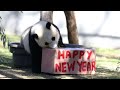 Happy Lunar New Year from Smithsonian's National Zoo