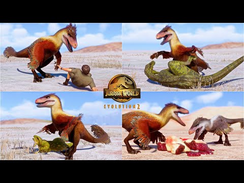 UTAHRAPTOR all Hunting, Social, Pack Chaser and other animations in Cretaceous Predator Pack