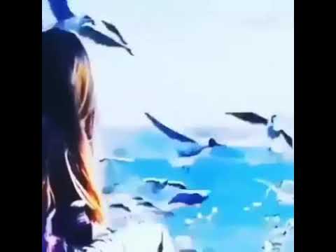 وبنحبك يادنيا بجد