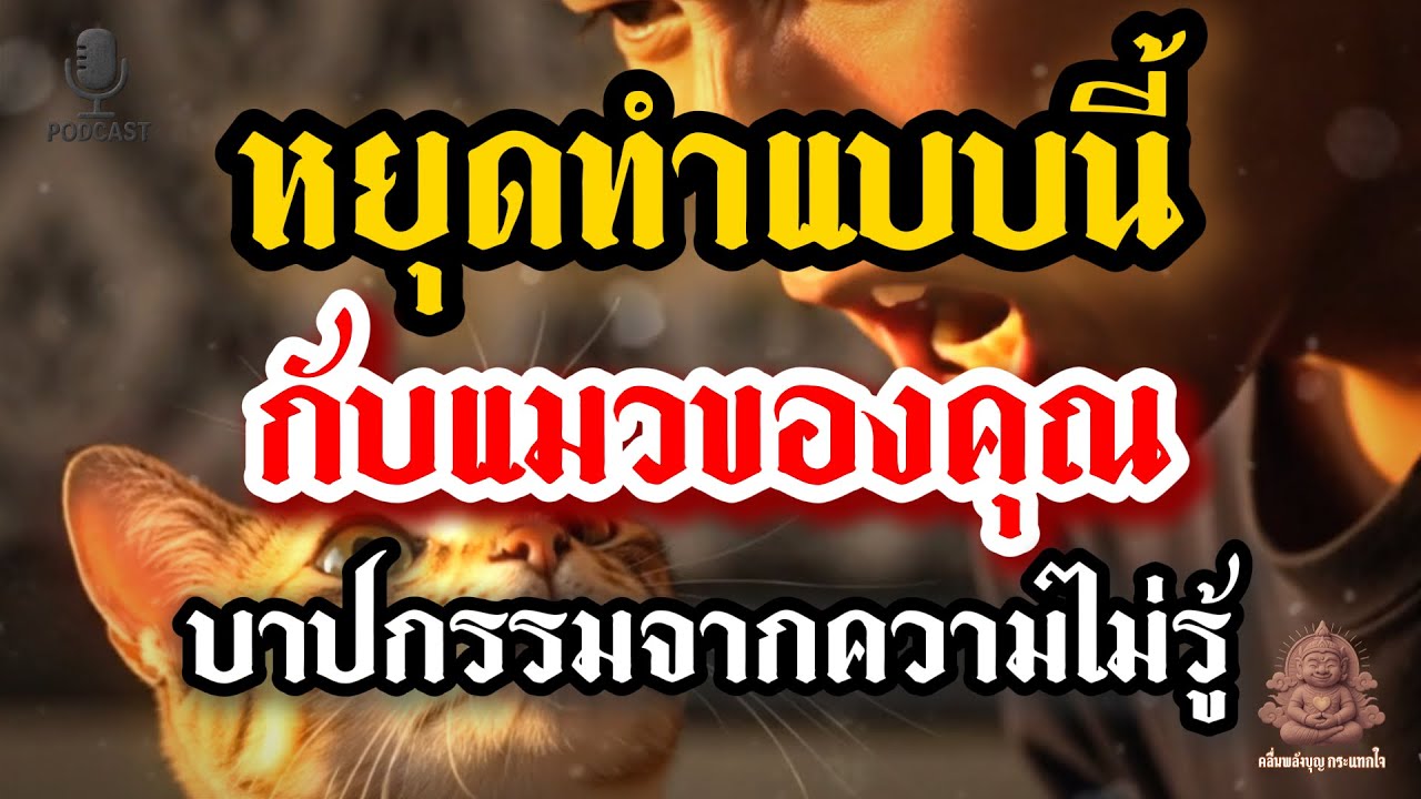 ความโหดร้ายเหล่านี้!… จะทำให้แมวคิดว่าคุณไม่รักพวกเขา | บาปกรรมจากความไม่รู้ตัวของมนุษย์