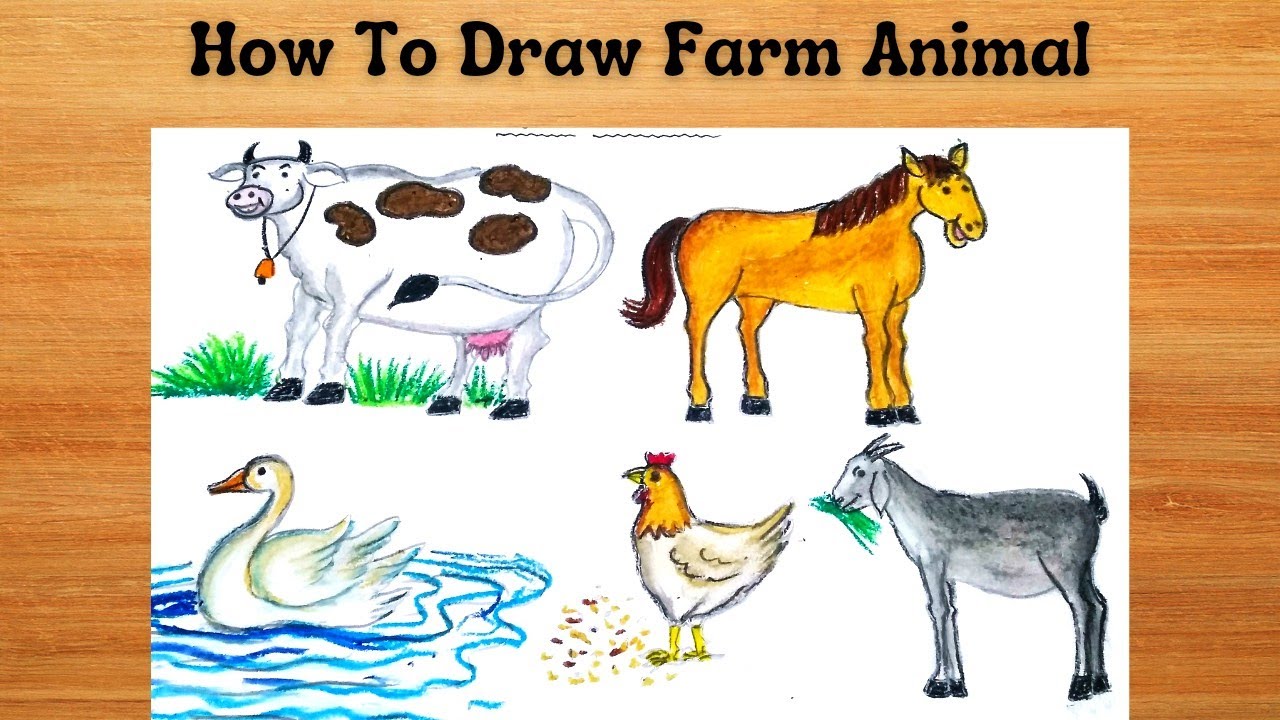 Buy Petit Collage On-the-Go How to Draw Set, Animals of The World –  Activity Set with Kid's Drawing Pad – Creative Toys for Ages 5+ – Ideal  Travel Activity for Kids Online