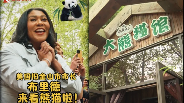 参观大熊猫！旧金山市市长以动物园之行结束访华 - 天天要闻