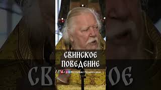 СВИНСКОЕ ПОВЕДЕНИЕ ЛЮДЕЙ. Протоиерей Димитрий Смирнов