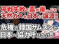 【ゆっくり解説】大発狂!!停戦を拒絶されたロシアが資金枯渇で日本へ天然ガスを売却!!韓国経済崩壊の危機にサムスンが襲来し日本へ共同購入を通告!!【海外の反応】