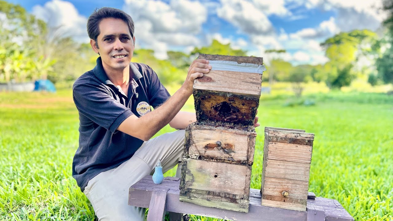 Abelhas SEM FERRÃO: Conheça o Incrível Apiário 02 Irmãos e Seus Produtos!