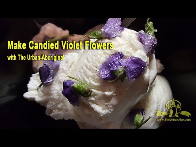 How to Crystallize Edible Flowers for Cakes and Desserts 