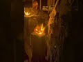 2025 New Release Halloween Props and Decor! #halloweendecoration #halloween #props #jackolantern