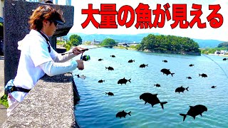 大量の魚が見える河口にルアーを投げ込むと！