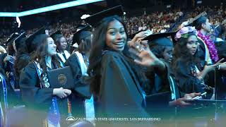 Your Life As A Coyote