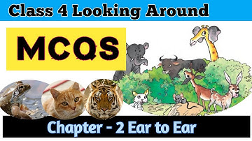Ear to Ear MCQS Class 4 EVS|Chapter -2 Looking Around short answers #mcqs#vasudhaadlakha #class4evs