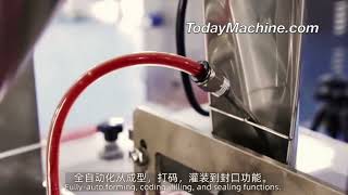 Automatic Vertical Pouch VFFS Multi function Sachet packaging Machine