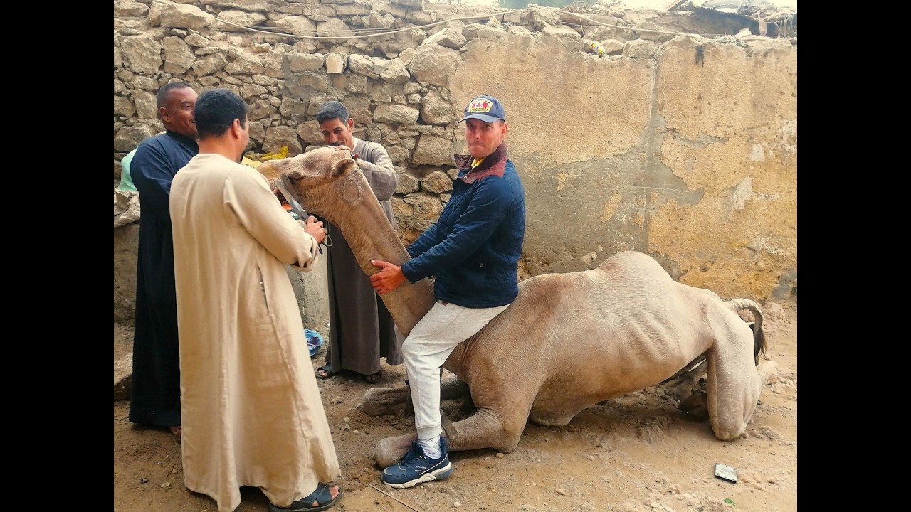 Świat widziany oczami egipskiego wielbłąda = inna muzyka