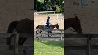 Lessons From A Few Weeks Ago W Hank