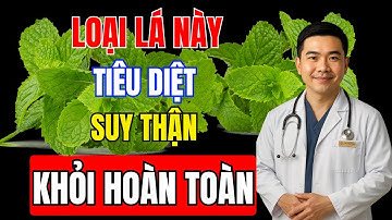 1 Loại lá giúp tiêu diệt suy thận, hạ creatinine, hết tiểu đêm, nước tiểu trong, ngủ ngon sâu giấc