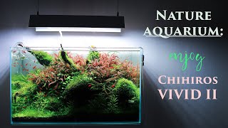 Nature aquarium: enjoy red plants under Chihiros Vivid II