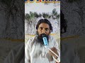 मंत्र कैसे सिद्ध करें?