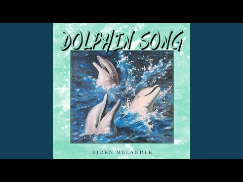 Björn Melander — Dolphin Sounds Only