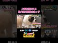 【狙われる末っ子🔫】超大型犬のてんやわんやな食事風景🐶🍽️
