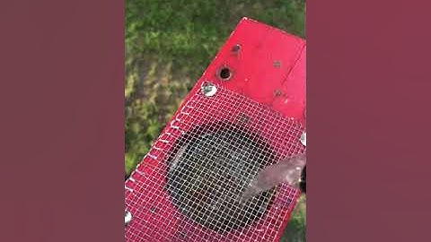 Cleaning Propolis (Tree Resin) Off Screened Opening of Honey Bee Observation Hive with Boiling Water