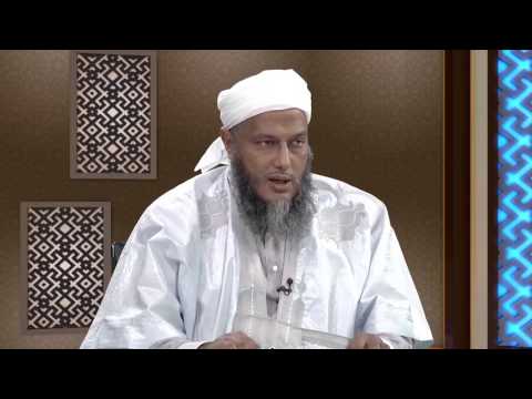 العلامة الددو يفصل في أحكام طلاق البينونة الكبرى برنامج معالم 2