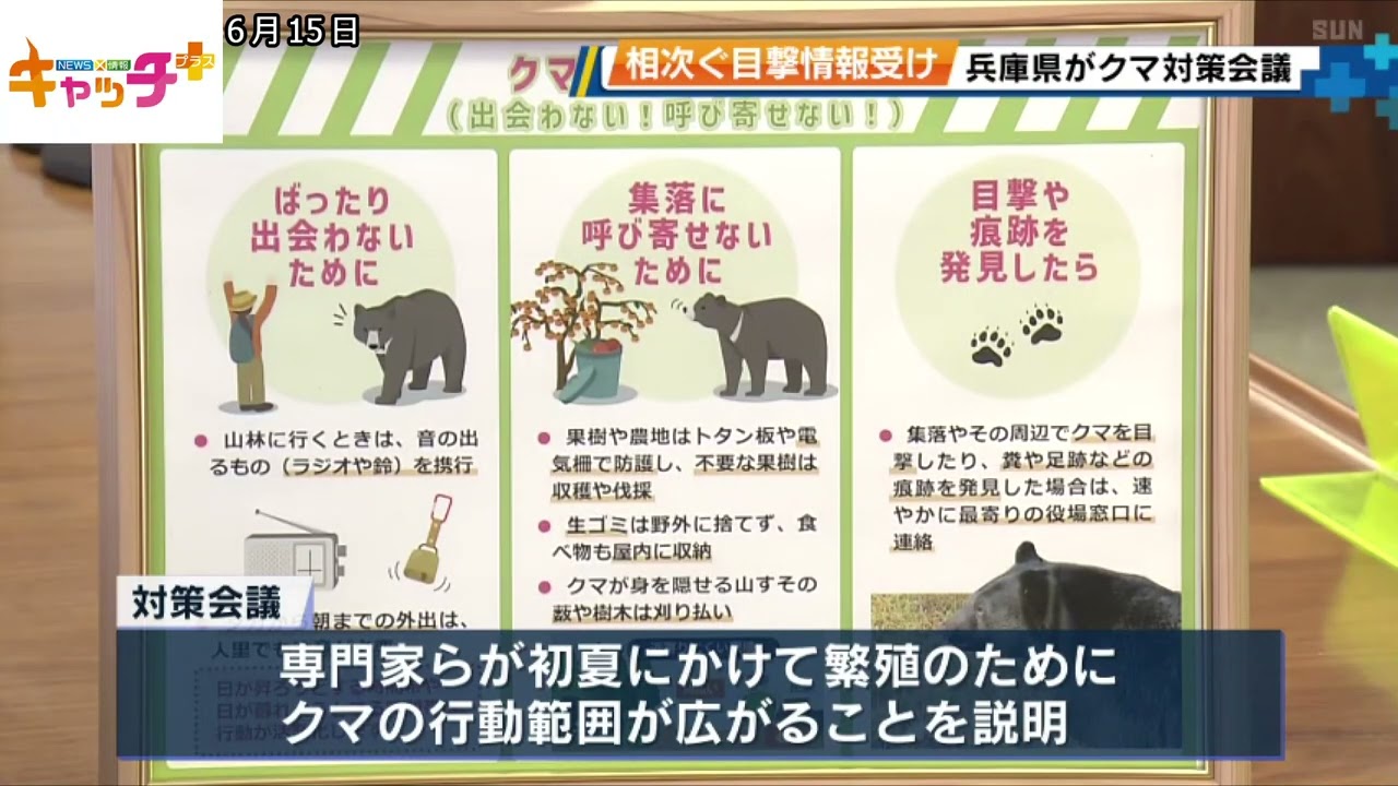 県内各地でツキノワグマの目撃相次ぐ 県が対策会議 - サンテレビニュース