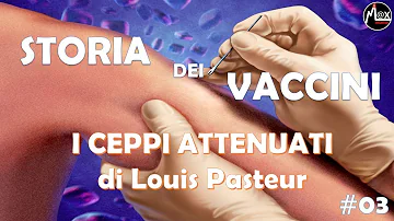 Quali vaccini ha scoperto Pasteur?