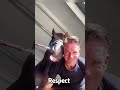 When horses show their love through playful moments.#viral#funny#fyp#shorts