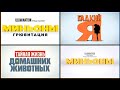 Все Логотипы Анимационных трейлеров Illumination 2010 2022 