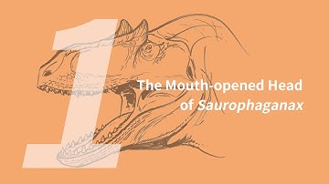 Donald the Saurophaganax 1: Mouth-opened Head | Learn to Draw Dinosaurs with ZHAO Chuang