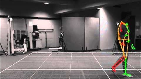 Sagittal Plane - Walk