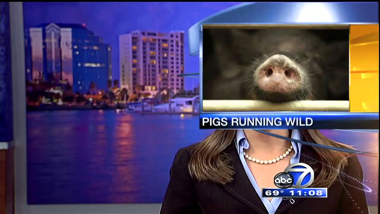 Unfortunate graphics oops on live TV