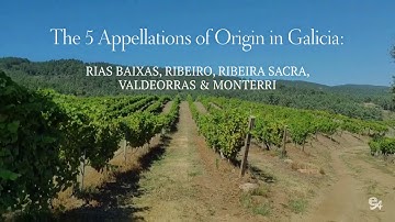 Protected Designation of Origin Galicia Wines: the perfect tour for your senses