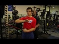 Strength and Conditioning : Upper Back Trap and Shoulder