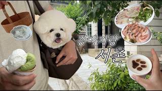여름맛 가득한 서촌 완벽한 주말 데이트 코스