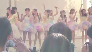 20160505 ふわふわ イオンモール幕張新都心 「White Sweet Kiss」