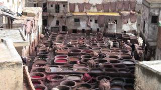 Chouara Tanneries, Fez, Morocco