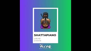 Dj Wayne - Shattapiano Live Mix 2024 Live Performance