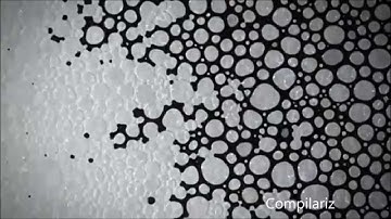 alexander schoor 8 dimention complementary system