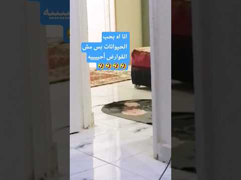 قاعد أتفرج فقط من الخوف