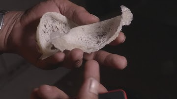 Swiftlet Farming in Sabah